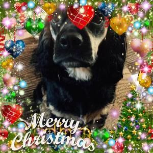 Meet your Posher, Marlene r.